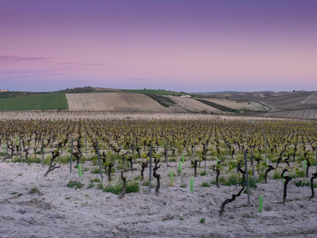 La Ermita Fjhomefj Jerez de la Frontera Exteriér fotografie